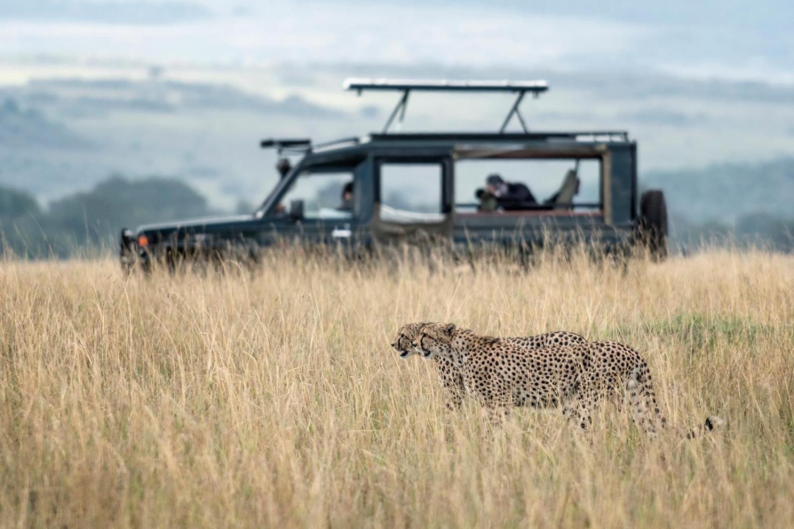Hotel Talek Bush Camp , Masai Mara Exterior foto