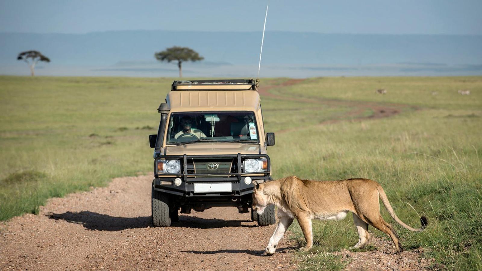 Hotel Talek Bush Camp , Masai Mara Exterior foto